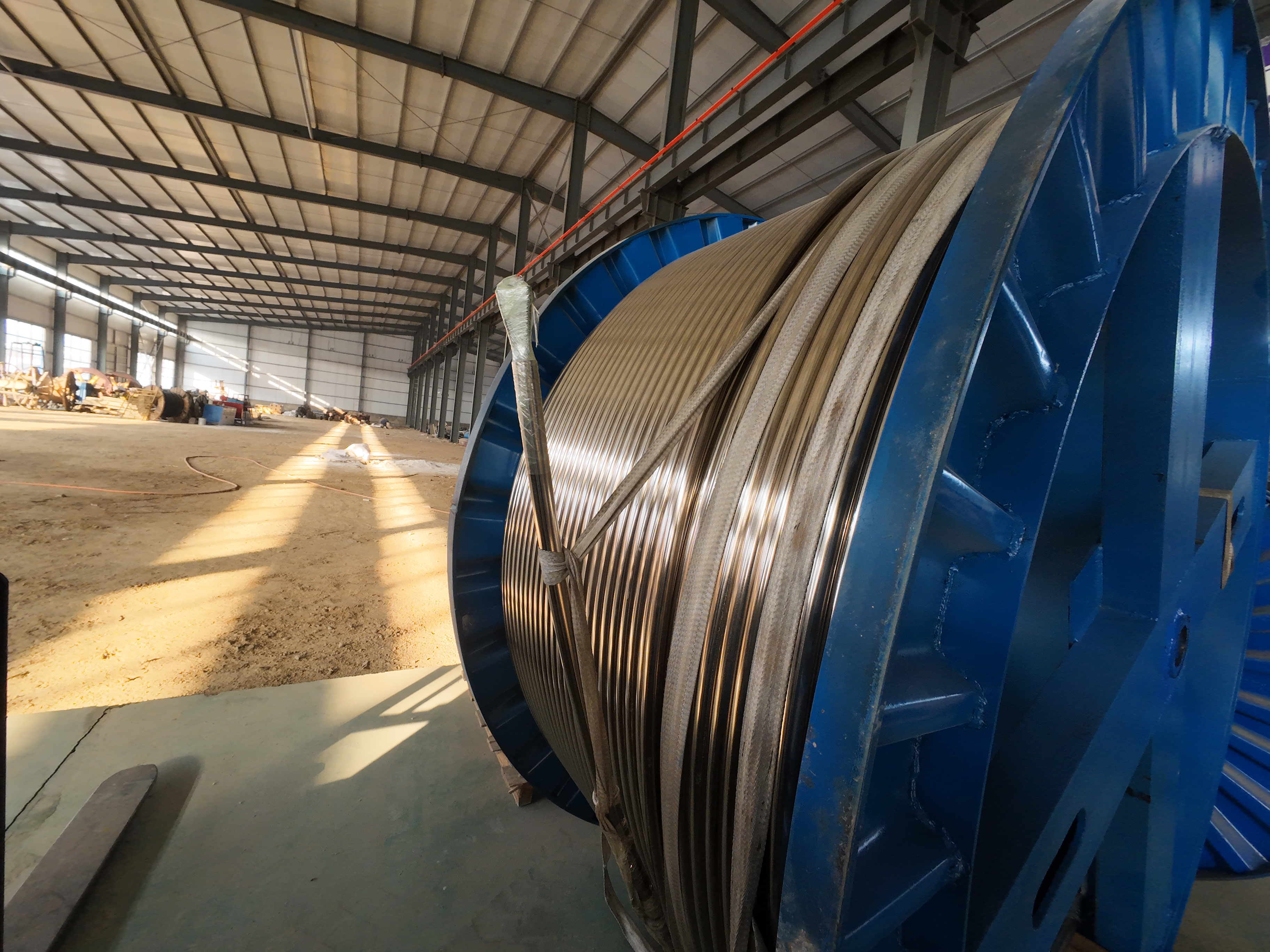 The Development and Profitability of Heavy Oil Production Under High Oil Price Expectations